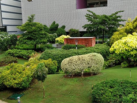 Hotel Landscaping Services in Pune, Mumbai
