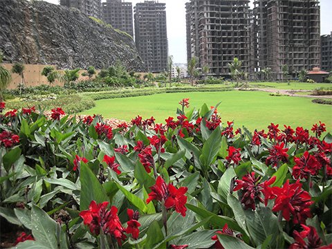 Real Estate Landscaping in Pune Mumbai