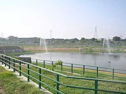 Resort Landscaping Services in Pune Mumbai