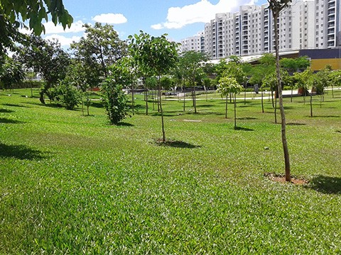 Township Landscape Services in Pune, Mumbai
