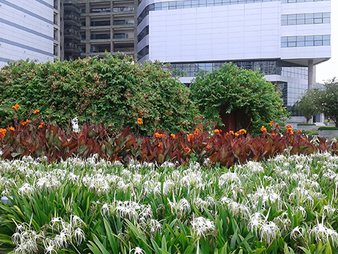 Farmhouse Landscaping