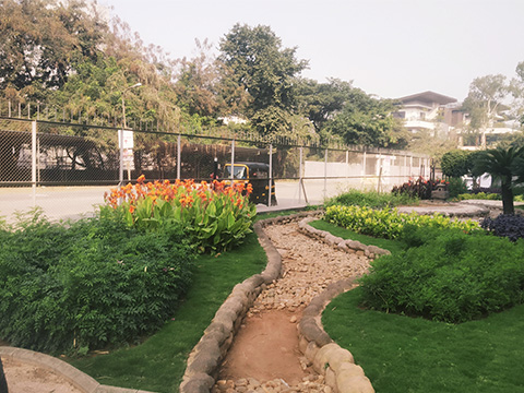 Landscape Development